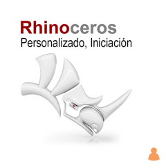 Curso de Rhino, Iniciación Personalizado
